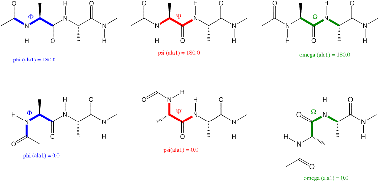 peptide bond formation. thea peptide Peptide+ond