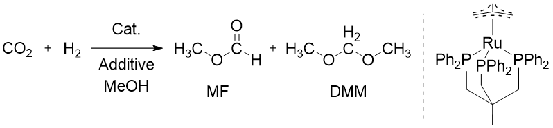 CO2Form